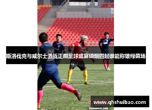 斯洛伐克与威尔士激战正酣足球盛宴硝烟四起谁能称雄绿茵场