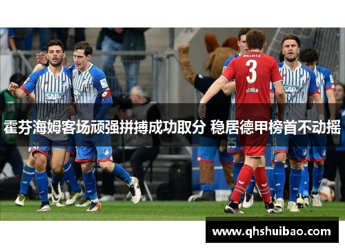 霍芬海姆客场顽强拼搏成功取分 稳居德甲榜首不动摇