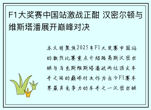 F1大奖赛中国站激战正酣 汉密尔顿与维斯塔潘展开巅峰对决